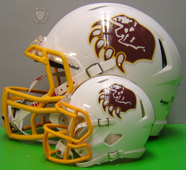 6 Pair Custom mini Football Helmet Side Decals